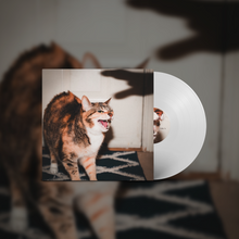 Load image into Gallery viewer, Riley! - Keep Your Cool (LP Pre-Order)
