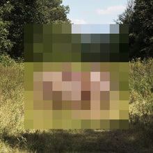 Load image into Gallery viewer, The Hotelier - Goodness (CD&amp;LP)
